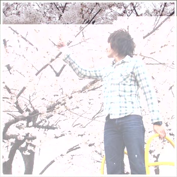 UES�@�R�[�f�B�l�[�g